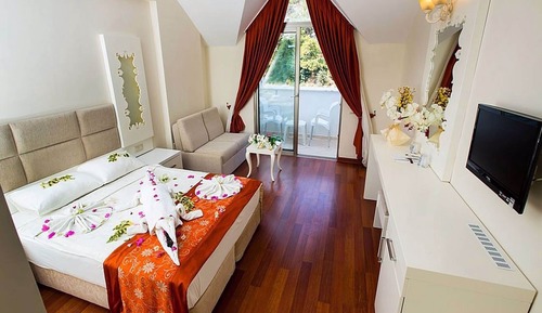 Standard Double Room, Balcony, Mountain View