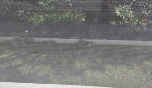 Double Room, Private Bathroom, Garden View