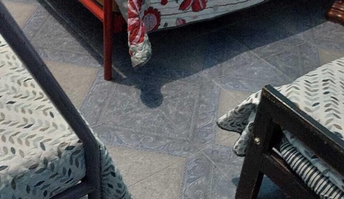 Basic Quadruple Room, Mountain View