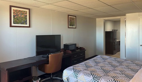 Standard Room, 1 King Bed, Non Smoking, Kitchen