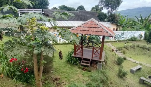 Standard Double or Twin Room, Mountain View