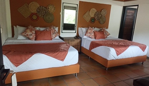 Family Twin Room, Garden View