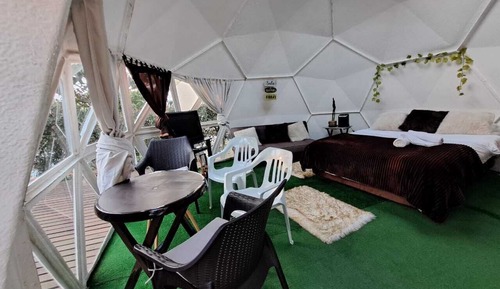 Superior Bungalow, Garden View