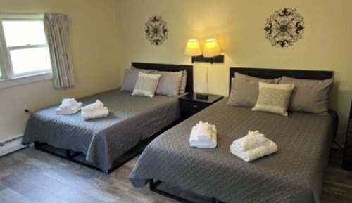 Standard Room, Mountain View