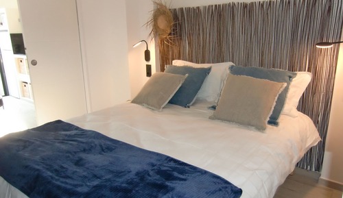 Croisette 30m2 (private spa)