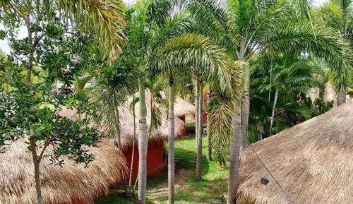 Superior Double Room, 1 Queen Bed, Lake View