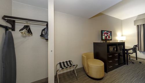 Deluxe Room, 1 King Bed, Accessible, Non Smoking (Roll-In Shower)