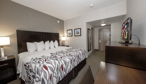 Deluxe Room, 1 King Bed, Non Smoking