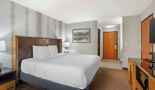 Standard Room, 1 King Bed, Non Smoking, Mountain View