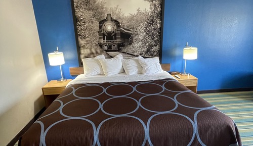 Room, 1 King Bed, Non Smoking