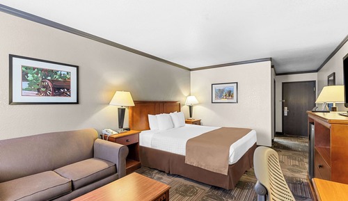 Standard Room, 1 King Bed, Non Smoking, Refrigerator & Microwave (with Sofabed)