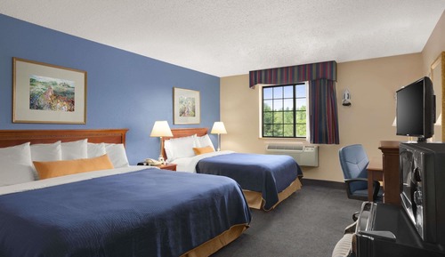 Studio Suite, Multiple Beds, Non Smoking