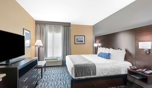 Suite, 1 King Bed, Non Smoking, Refrigerator & Microwave (with Single Sofabed)