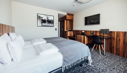 Triple Room, 1 Bedroom