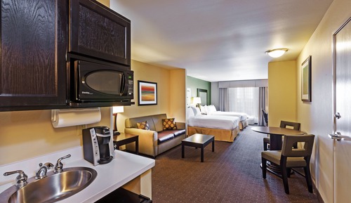 Suite, 1 King Bed with Sofa bed