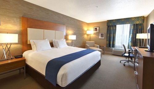 Standard Room, 1 Queen Bed, Mobility Accessible (Communications)