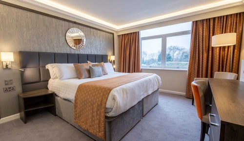 Superior Double Room, 1 King Bed, Non Smoking