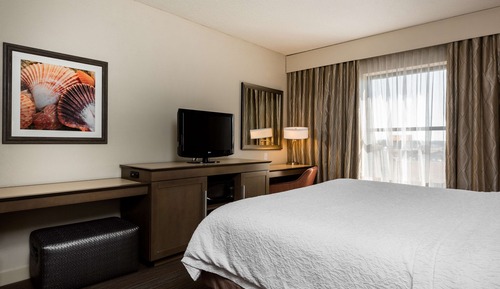 Room, 1 King Bed, Non Smoking