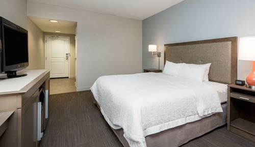 Room, 1 King Bed, Accessible, Bathtub