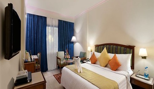 Superior Single Room, 1 King Bed