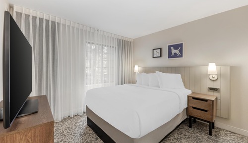 Suite, 1 Queen Bed with Sofa bed (One Bedroom)