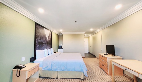 Room, 1 Queen Bed, Non Smoking