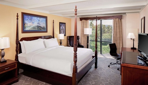 Room, 1 King Bed, Accessible, Bathtub (Mobility & Hearing)