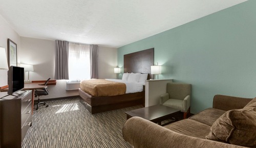 Room, 1 King Bed, Accessible, Non Smoking (Roll-In Shower)