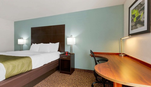 Standard Room, 1 King Bed, Non Smoking