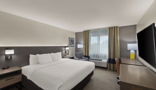 Standard Room, 1 King Bed, Non Smoking