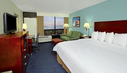 Room, 1 King Bed with Sofa bed (Floors 2-4)