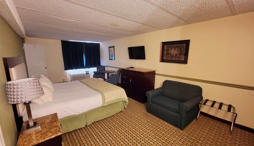 Suite, 1 King Bed