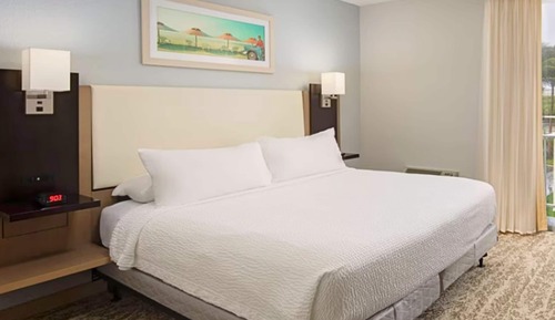 Room, 1 King Bed (Mobility/Hearing Access, Roll-In Shwr)