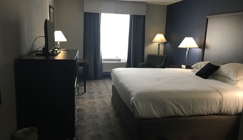Room, 1 King Bed