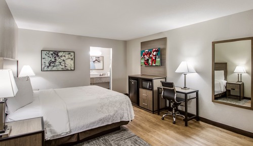 Superior Room, 1 King Bed, Accessible (Roll-In Shower, Smoke Free)