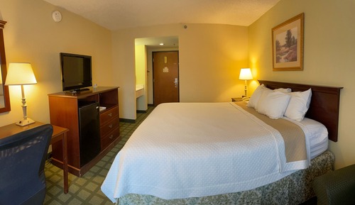 Business Room, 1 King Bed, Non Smoking (South Tower)