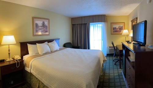 Room, 1 King Bed, Non Smoking (North Tower)
