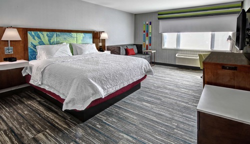 Room, 1 King Bed