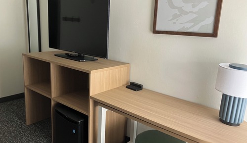 Room, 1 King Bed, Accessible (Mobility, Roll-In Shower)