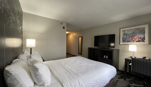Room, 1 King Bed, Accessible, Non Smoking (Efficiency)