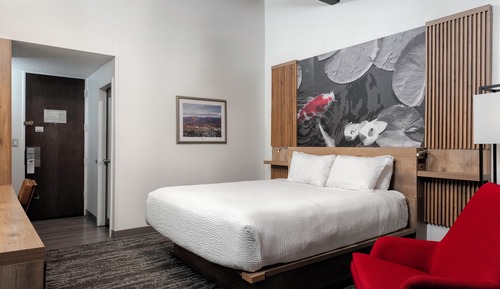Room, 1 King Bed, Non Smoking