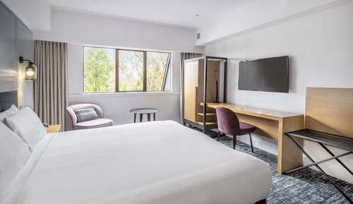 Deluxe Room, 1 King Bed, Non Smoking