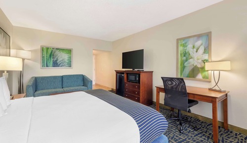 Standard Room, 1 King Bed, Non Smoking, Oceanfront