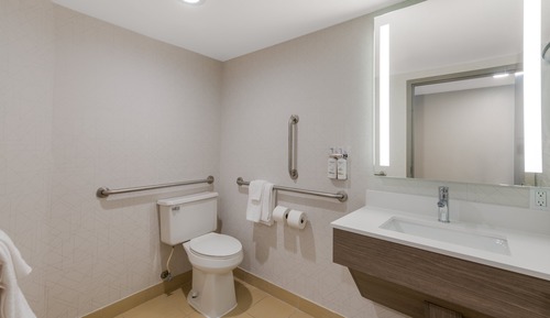 Room, 1 King Bed, Accessible (Roll-In Shower)