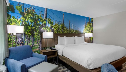 Standard Room, 1 King Bed, Non Smoking