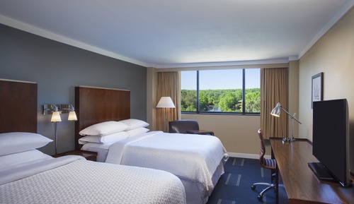 Deluxe Room, Multiple Beds