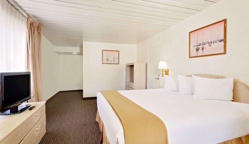 Room, 1 King Bed