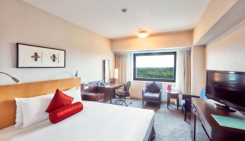 Standard Room, 1 King Bed (Airport View)