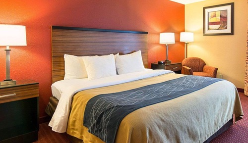 Standard Room, 1 King Bed, Non Smoking