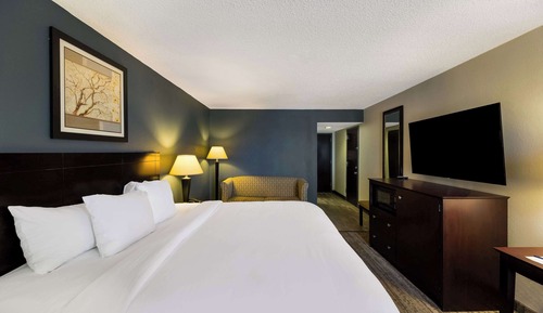 Standard Room, 1 King Bed, Non Smoking